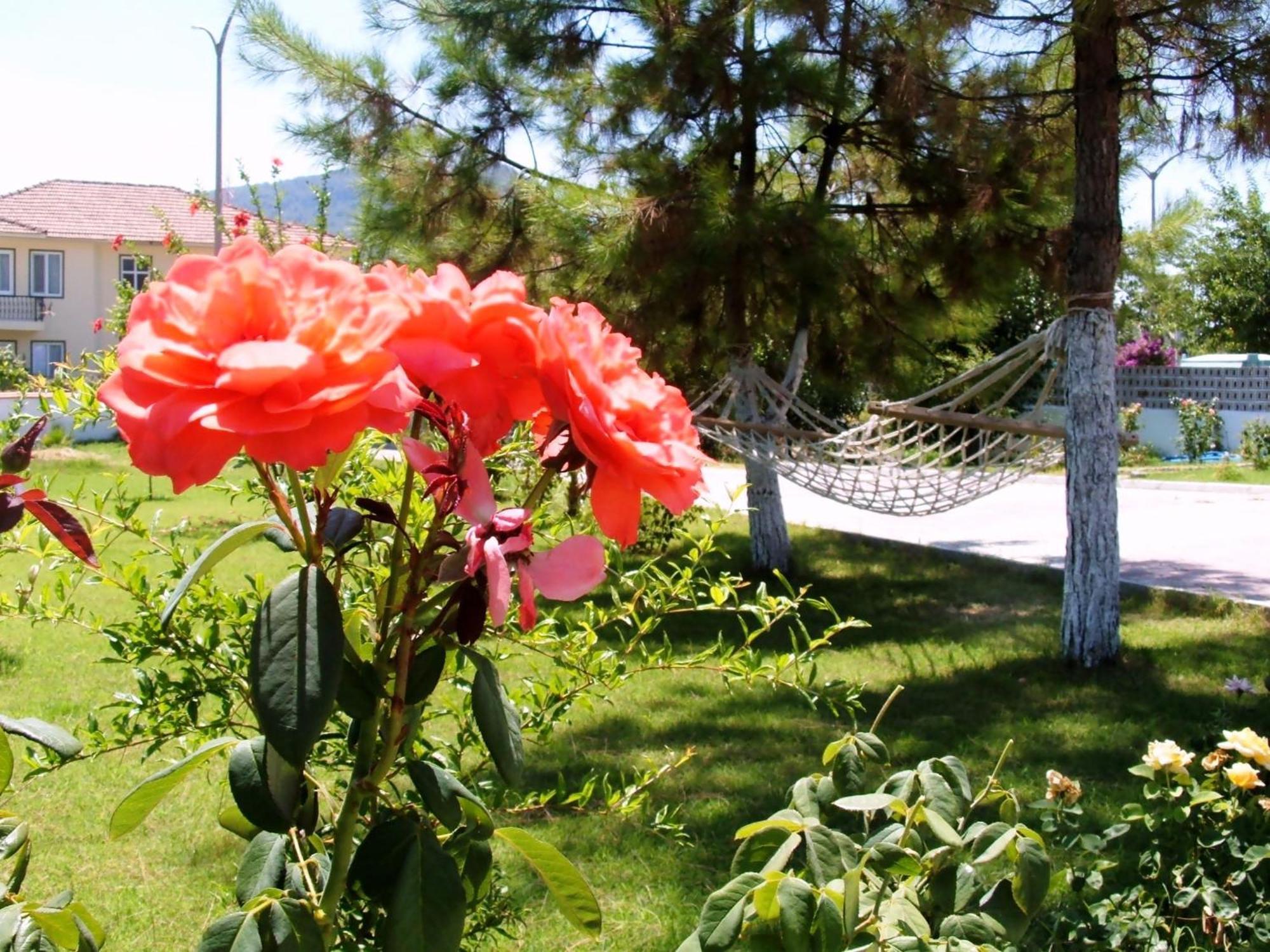 Gurkan Apart Hotel Dalyan Bagian luar foto